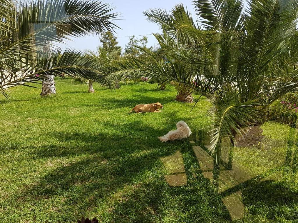 Les Jardins De Mogador Yoga Et Spa Эс-Сувейра Экстерьер фото