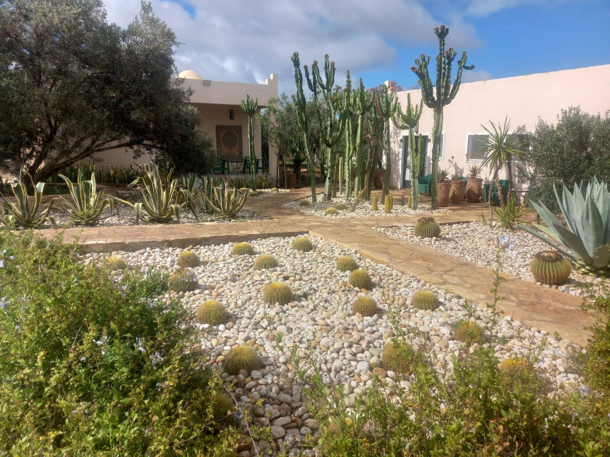 Les Jardins De Mogador Yoga Et Spa Эс-Сувейра Экстерьер фото